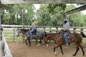 Texas Drought Tale Of Two Ranches