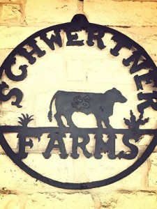 TALLAustinSchwertner