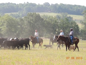 ATDF Range