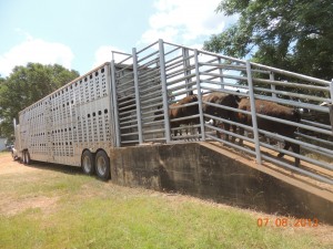 ATDF Truck Chute