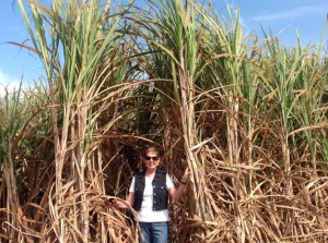 Linda Galayda in Field