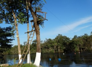 Rio das Mortes Landscape