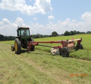 Hay Bales