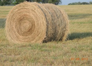 Hay Bales