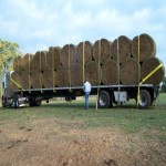 Hay Bales