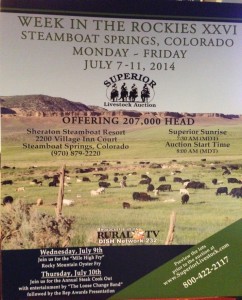 Superior Livestock Auction