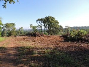 Land Clearing in Texas