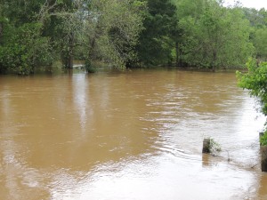 Rain on Ranch