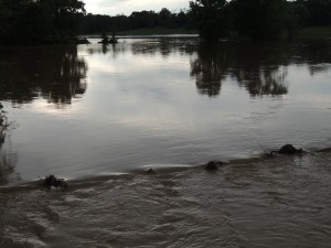 Squirrel Creek Water