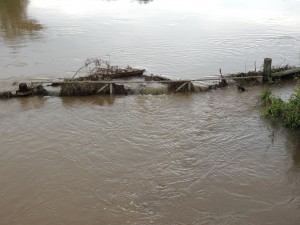 Squirrel Creek