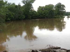 Rain water at ranch