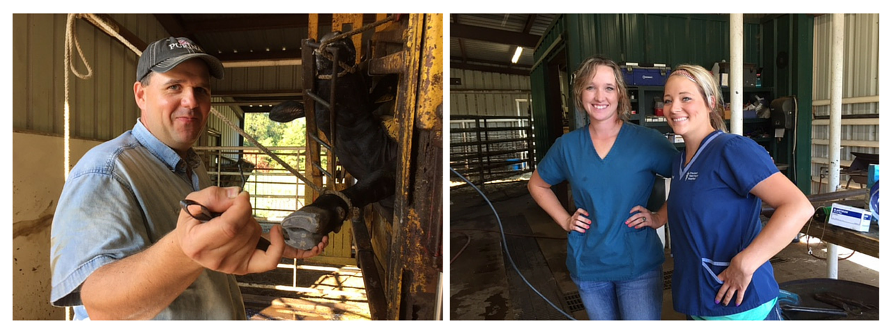 Dr. Wilson and Vet Assistants