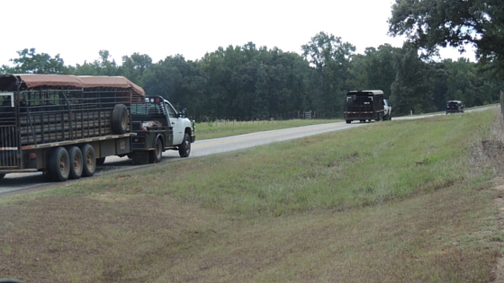 Trucks-Leaving-Ranch