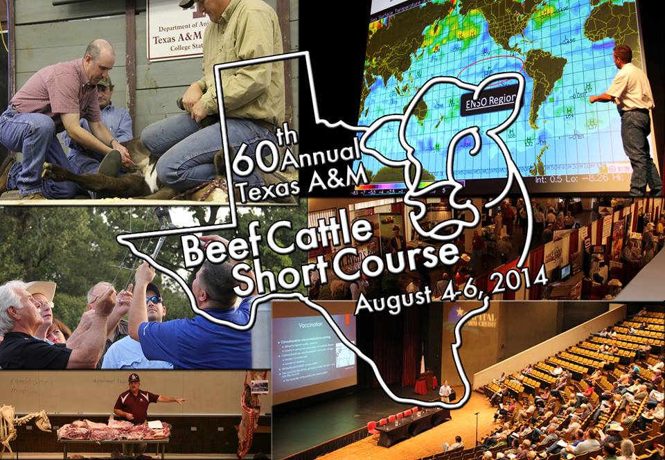 Beef Cattle Short Course Logo