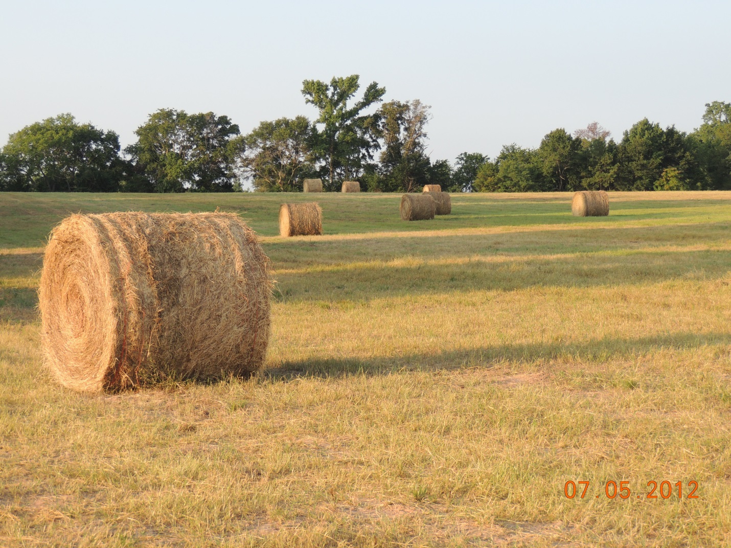 Hay Bales
